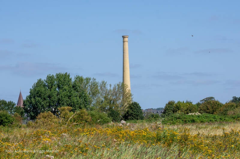 dsc_3916-standard.jpg