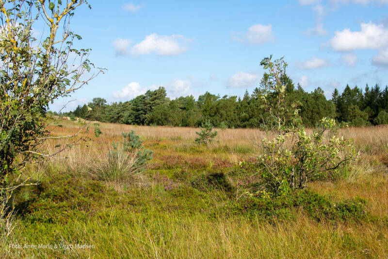 dsc_4114-standard.jpg