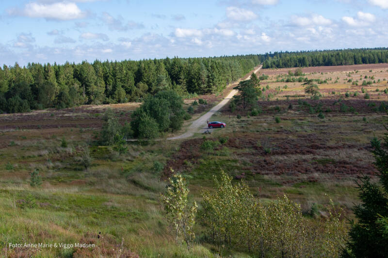 dsc_4122-standard.jpg