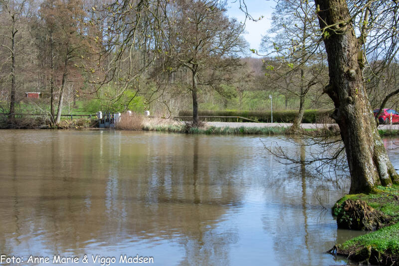 dsc_4761-standard.jpg