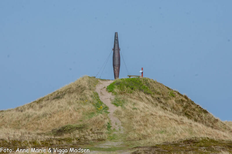 dsc_5870-standard.jpg