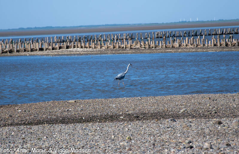 dsc_7686-standard.jpg