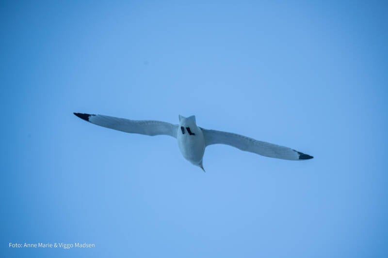 dsc_8644-2-standard.jpg