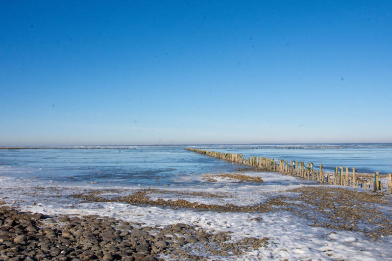 dsc_9595-standard.jpg