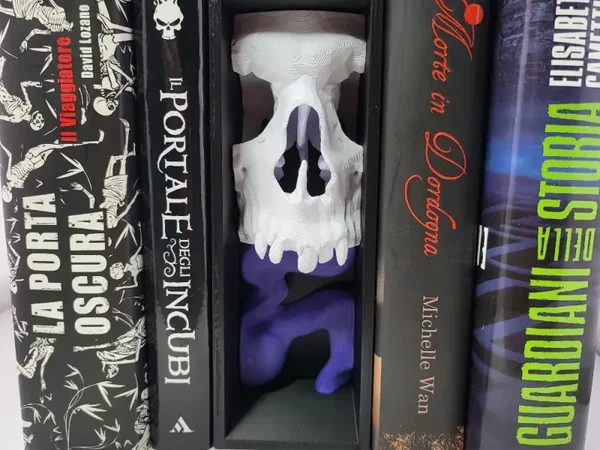 Fire Skull Book Nook