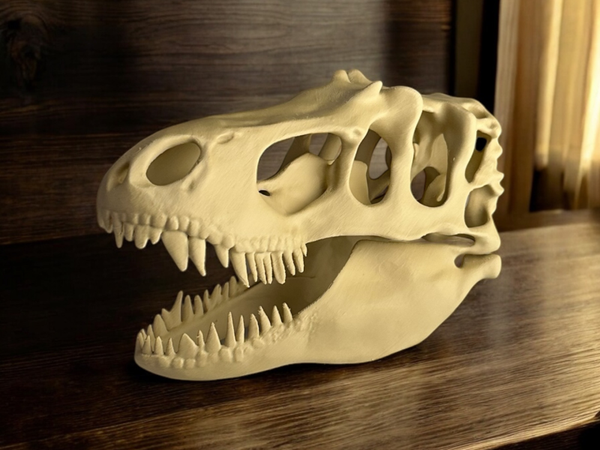 T-rex Skull