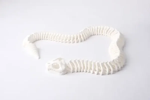 Articulated Snake Skeleton Toy