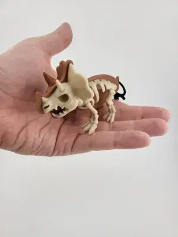 Triceratops Skeleton Keychain