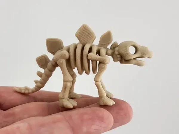 Stegosaurus Skeleton