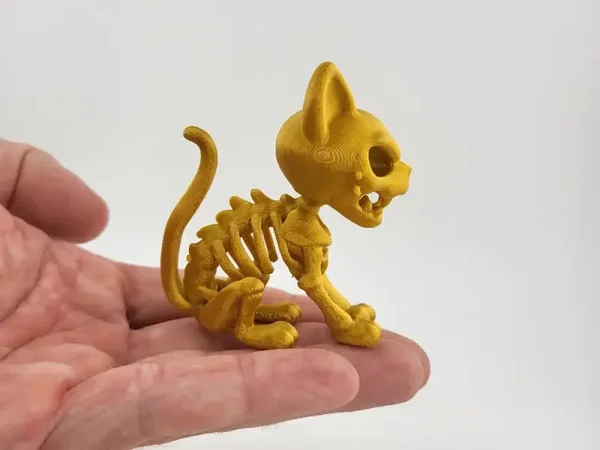 Skeleton Cat