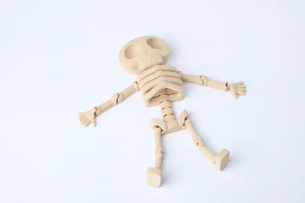 Articulated Skeleton Toy