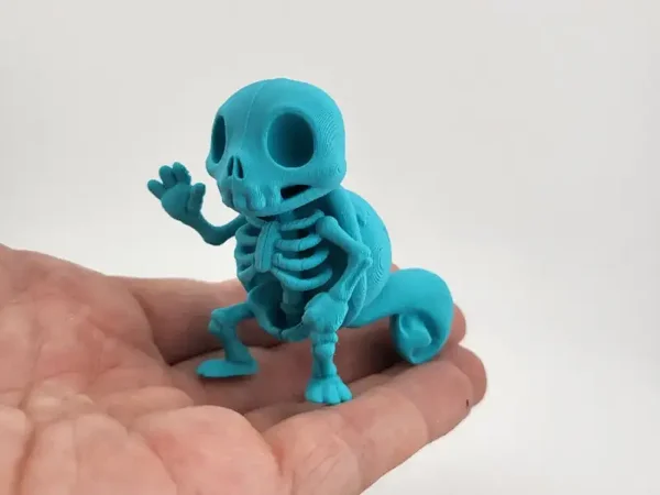 Squirtle Skeleton
