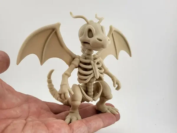 Dragonite Skeleton