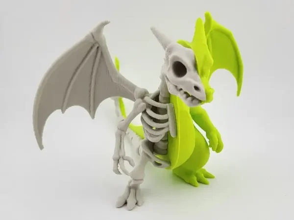 Charizard Skeleton