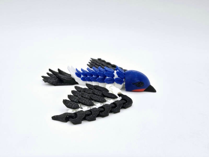 Pocket Swallow SALE