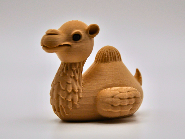 Camel Duck