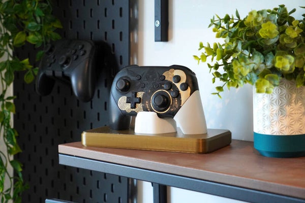 Nintendo Switch Pro 1 Perch