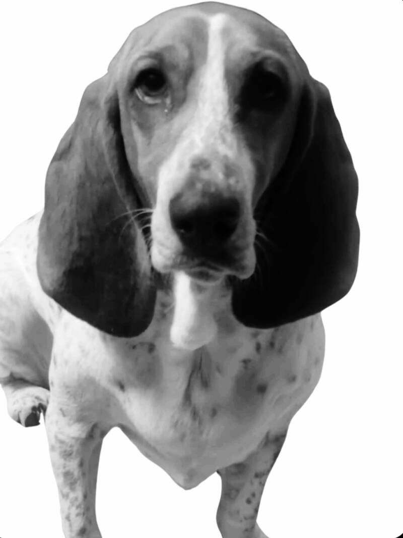 Your high quality picture sent to us 