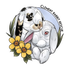 Clement Rabbit Rescue