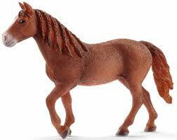 schleich morgan