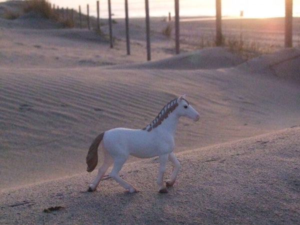 schleich exlusieve engelse volbloed