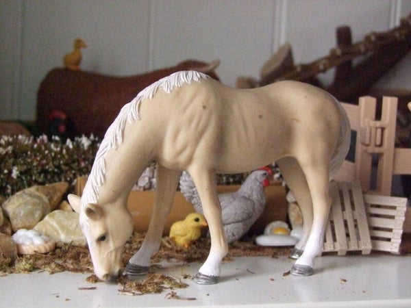 schleich akhal teke