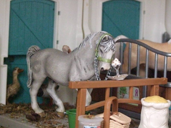 Schleich lipizzaner