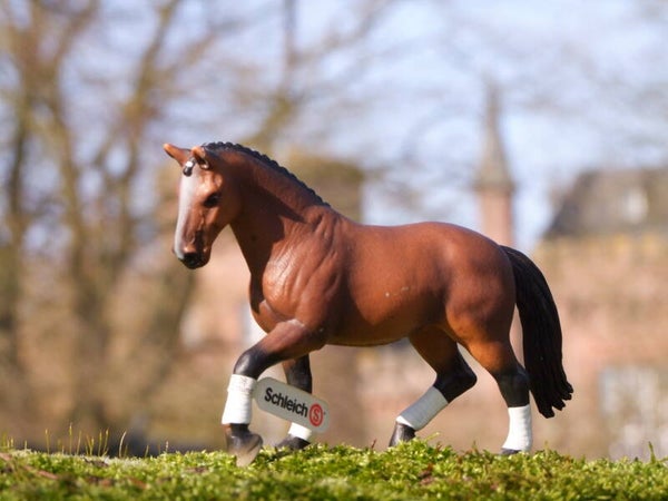 schleich hannoveraan