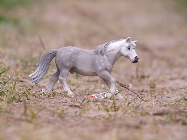 Schleich duitse rijpony ruin