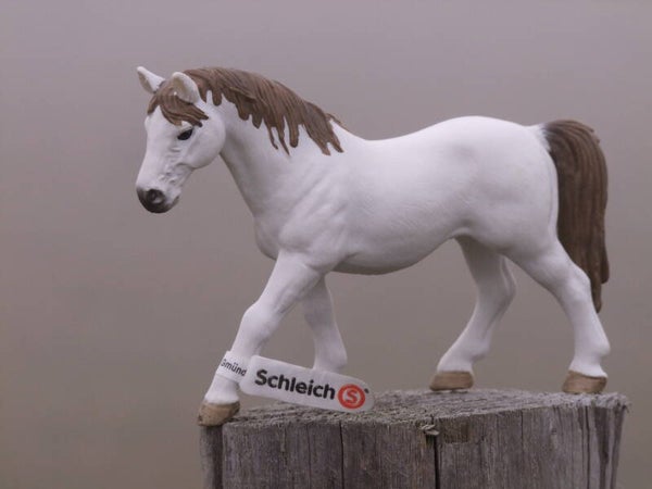 schleich exlusieve lippizzaner