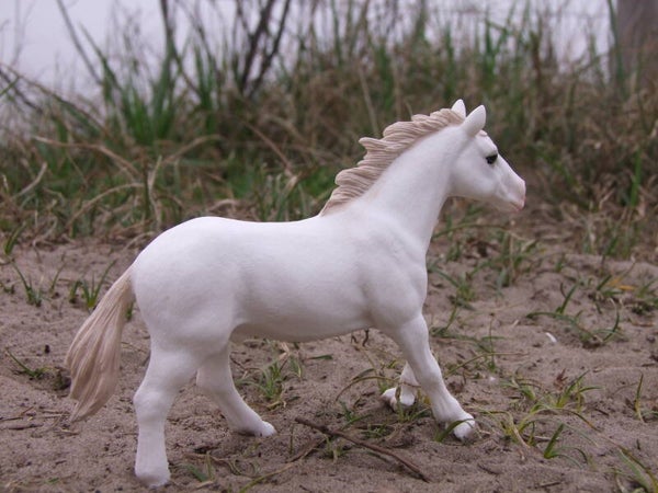 Schleich set exlusieve appaloosa