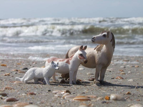 schleich camargue