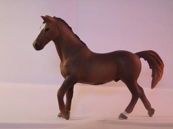 schleich set exclusief trakener
