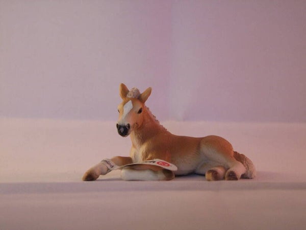 schleich haflinger veulen