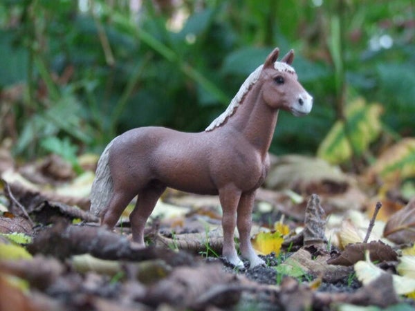 schleich morgan