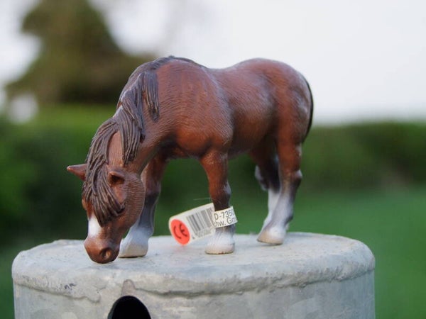 schleich pony grazend
