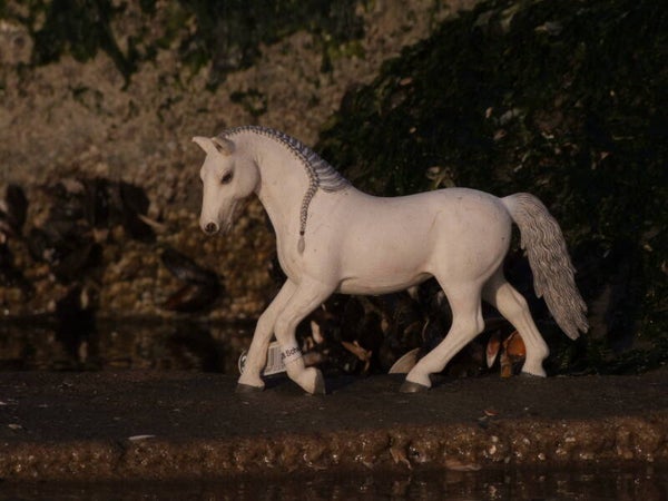 Schleich lipizzaner