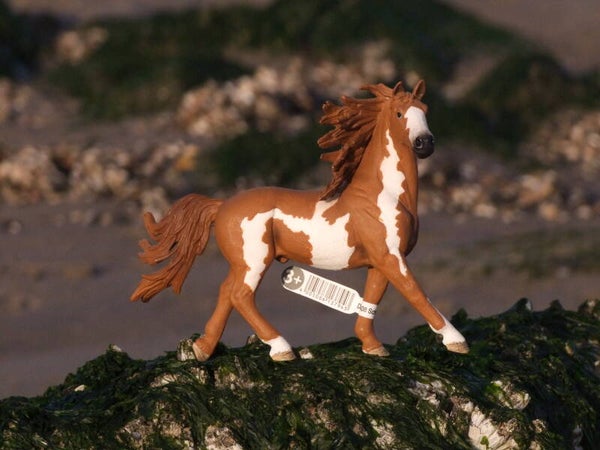 Schleich pinto horse