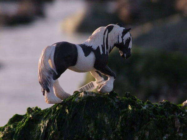 Schleich tinker