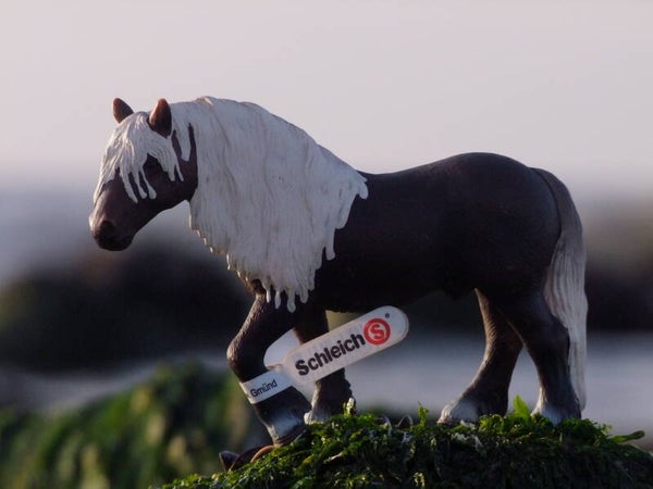 schleich schwartzwalder fuchs