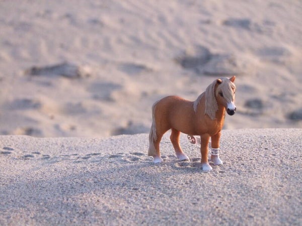schleich dartmoor pony