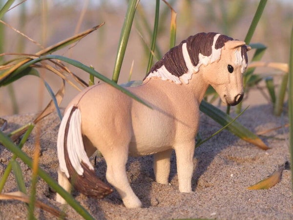 Schleich fjord