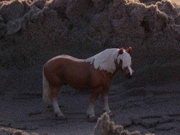 schleich haflinger