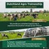 dutchlandagrotraineeship.nl