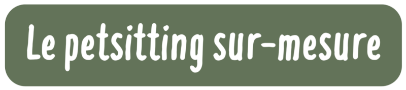 Le petsitting sur-mesure