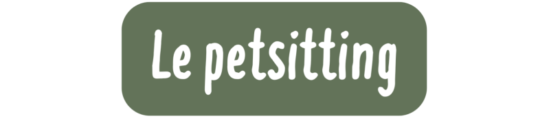 Le petsitting