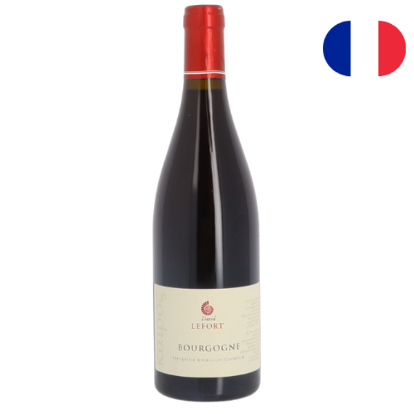David LeFort, Bourgogne Rouge, 2023