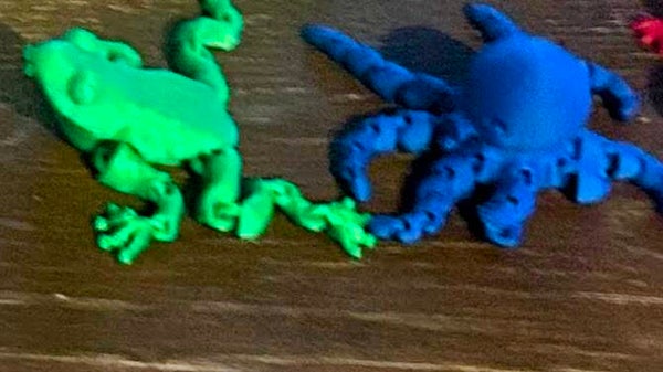 Frog or Octopus