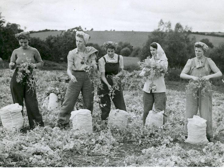 landgirls in the 1940s
