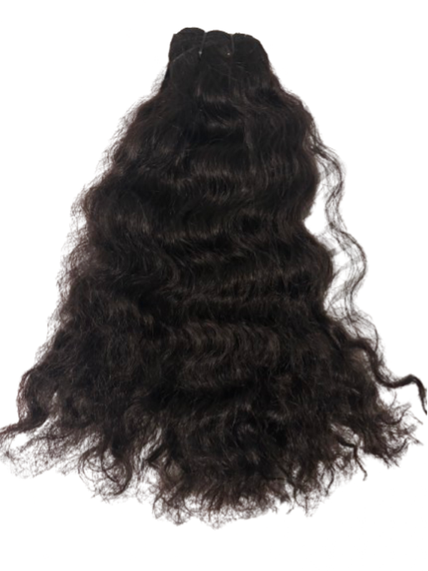 Cambodian Curly